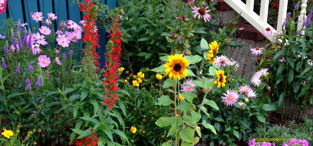 Garden at home